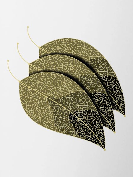 Leaves Decorative