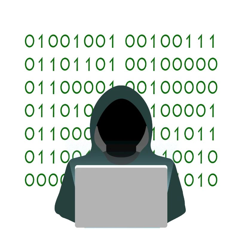 pirate informatique