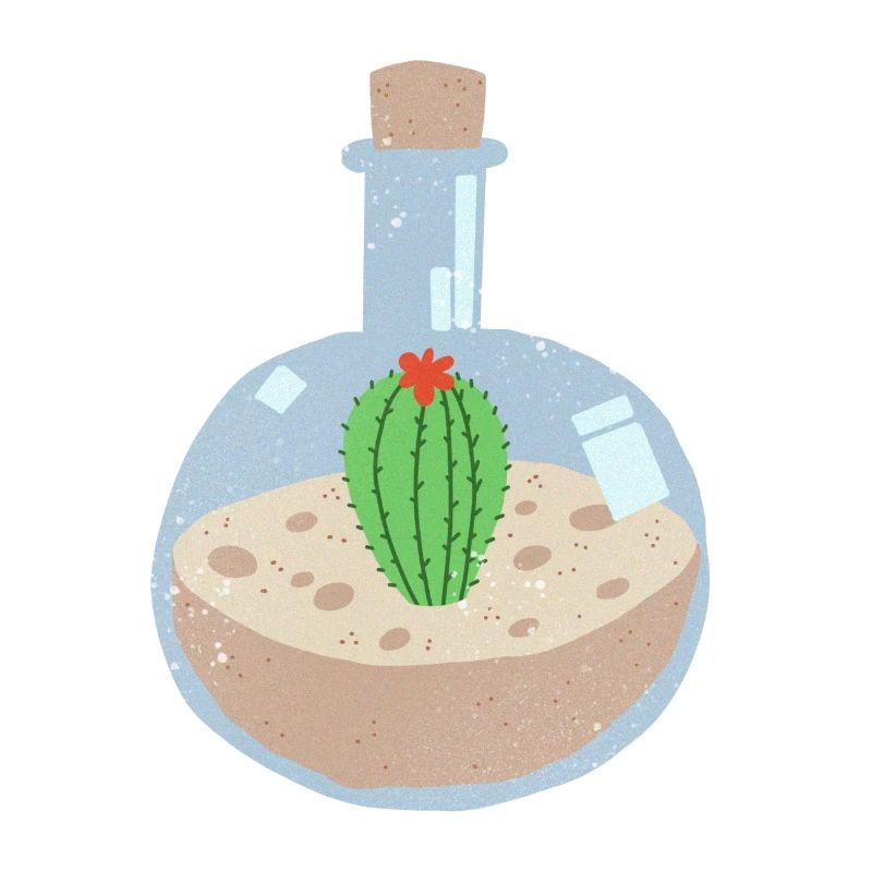 Kaktus In Flasche