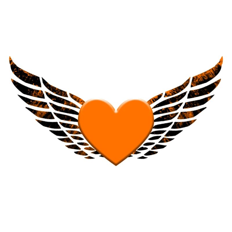 Ailes coeur orange