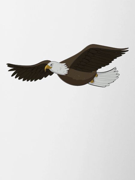 Adler