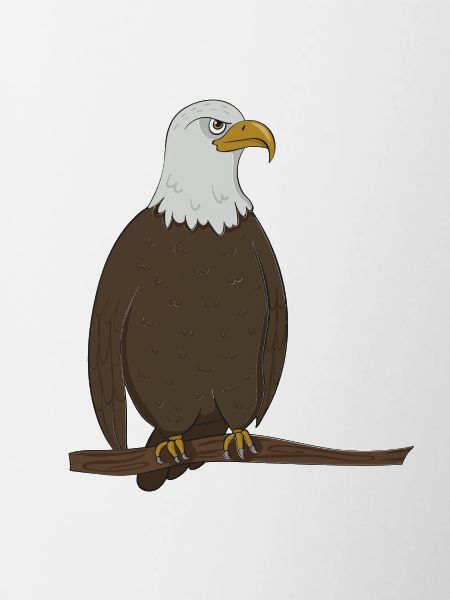 Adler