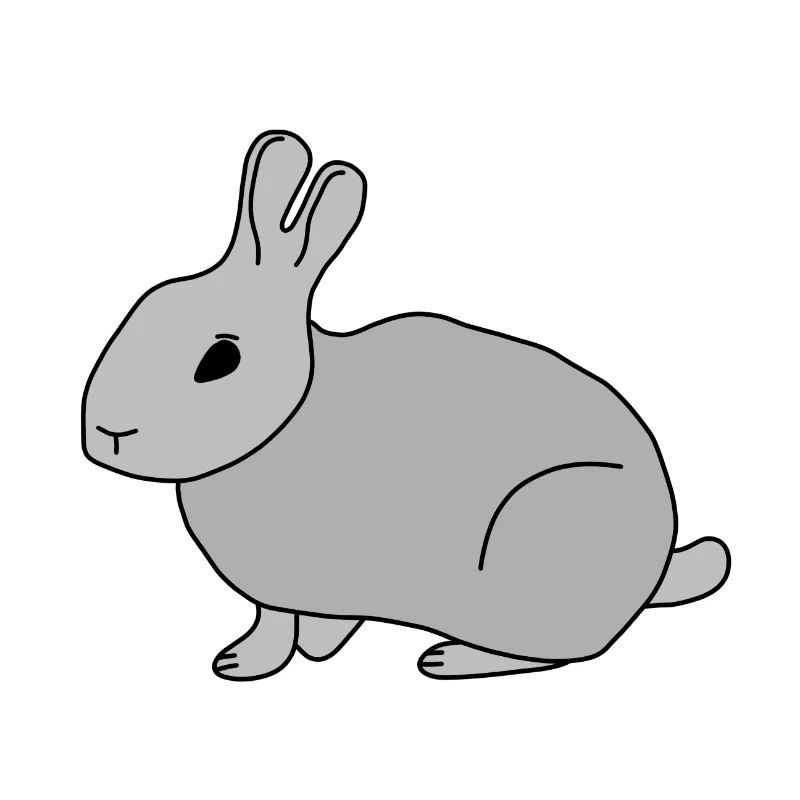 Lapin lapin lapin