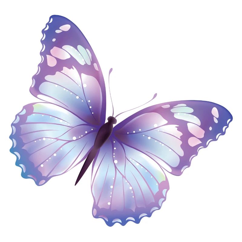 papillon