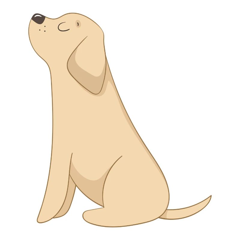 Chien