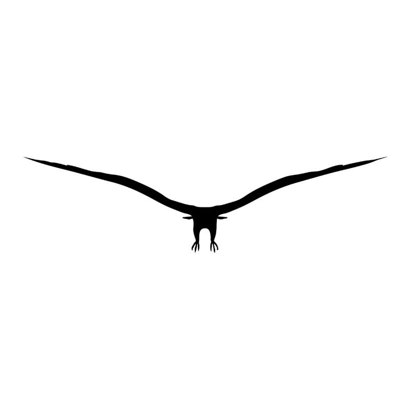 Vogel