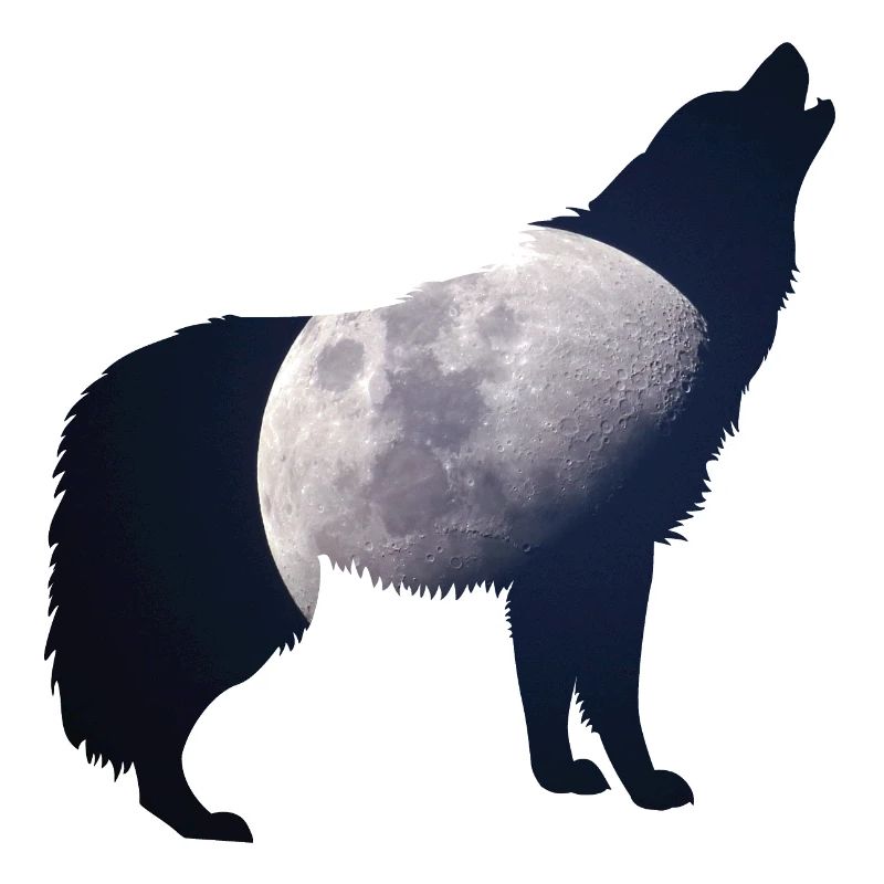Howling at the Moon