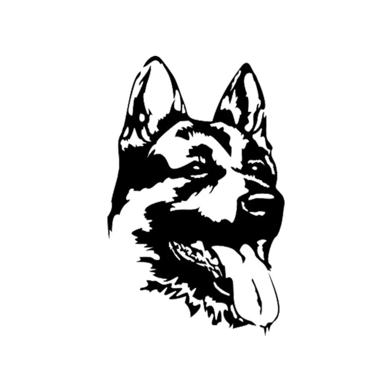 hund 1