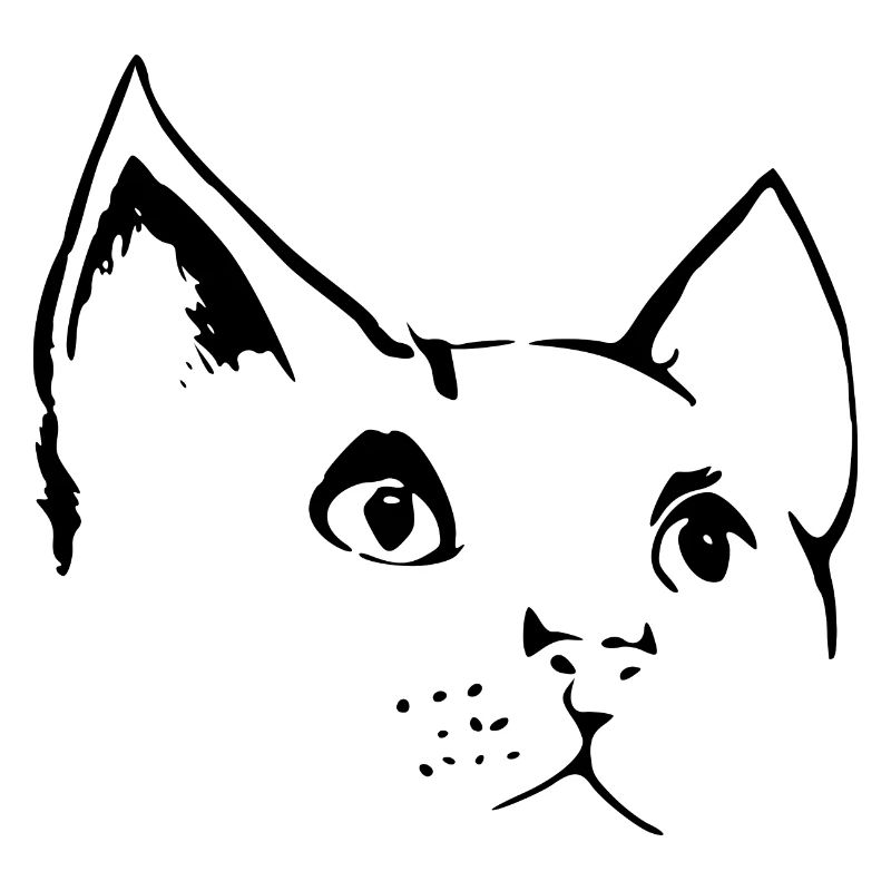 Tête de chat 4- visage de chat