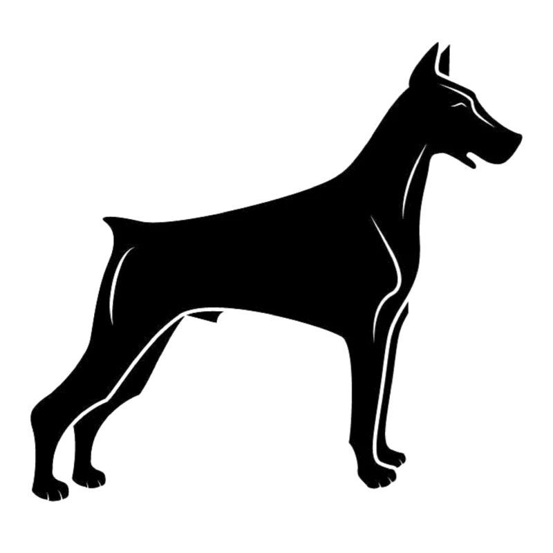 Doberman