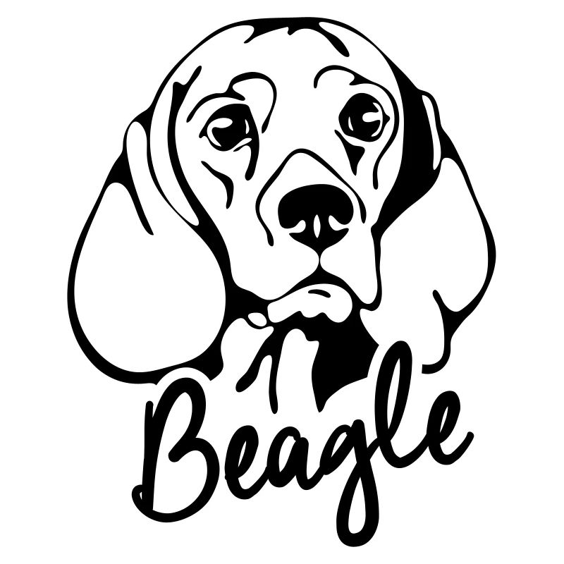 BEAGLE PORTRAIT chien canin Wilsigns