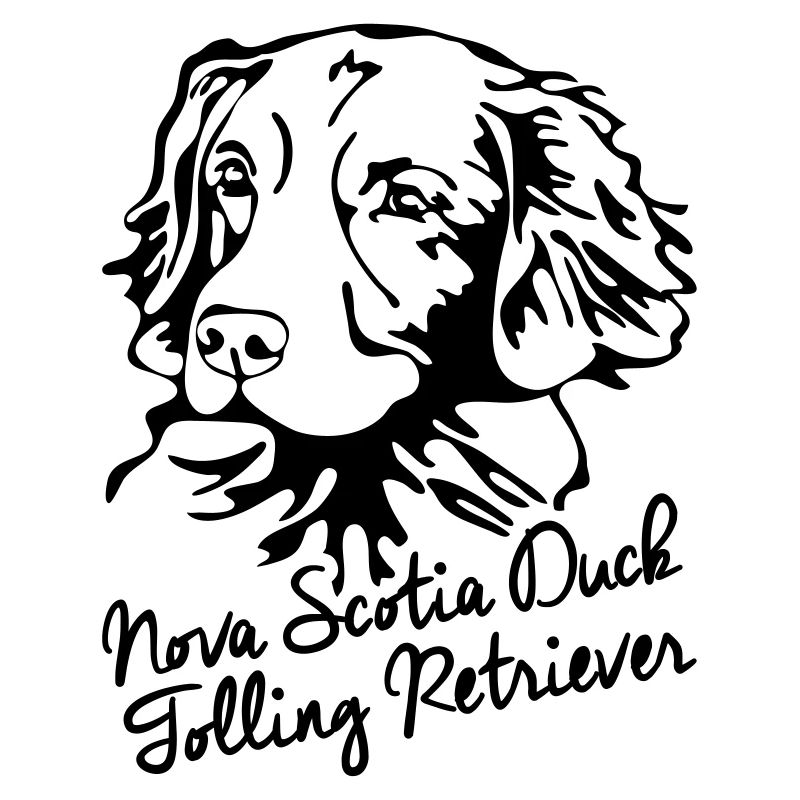 NOVA SCOTIA DUCK TOLLING RETRIEVER PORTRAIT