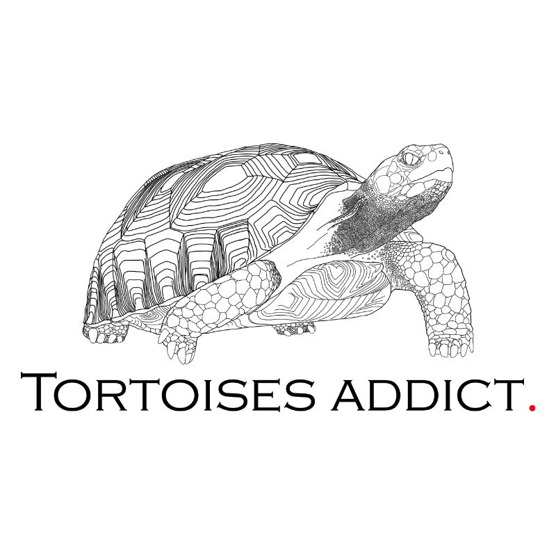 Tortoises addict