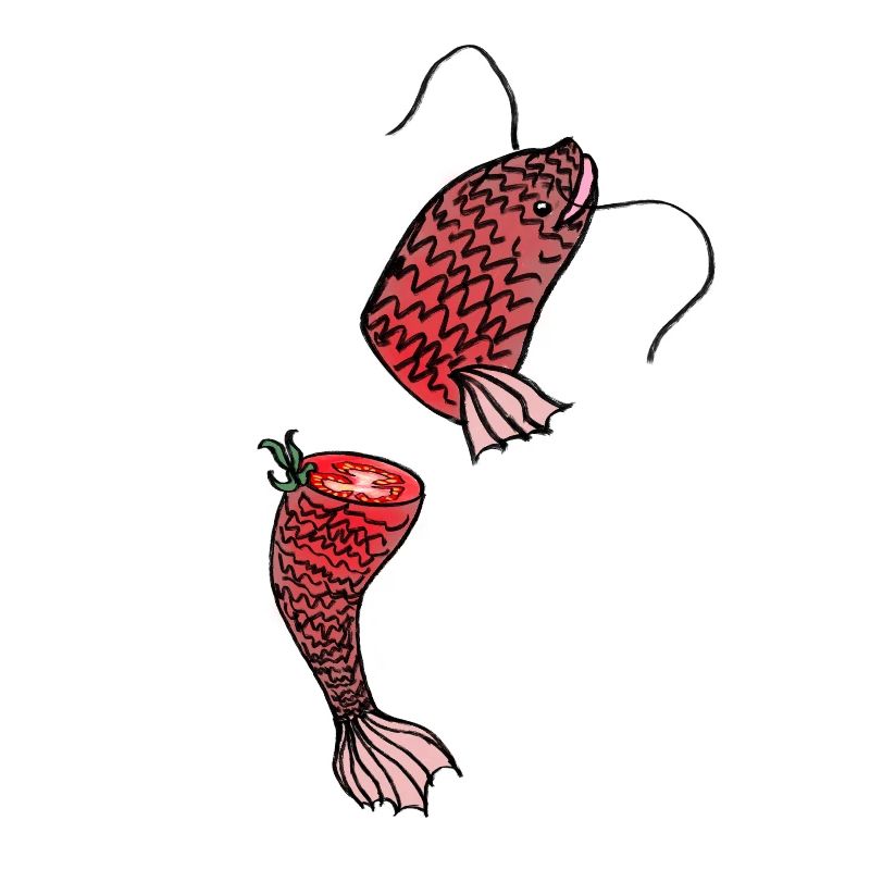 Tomato fish