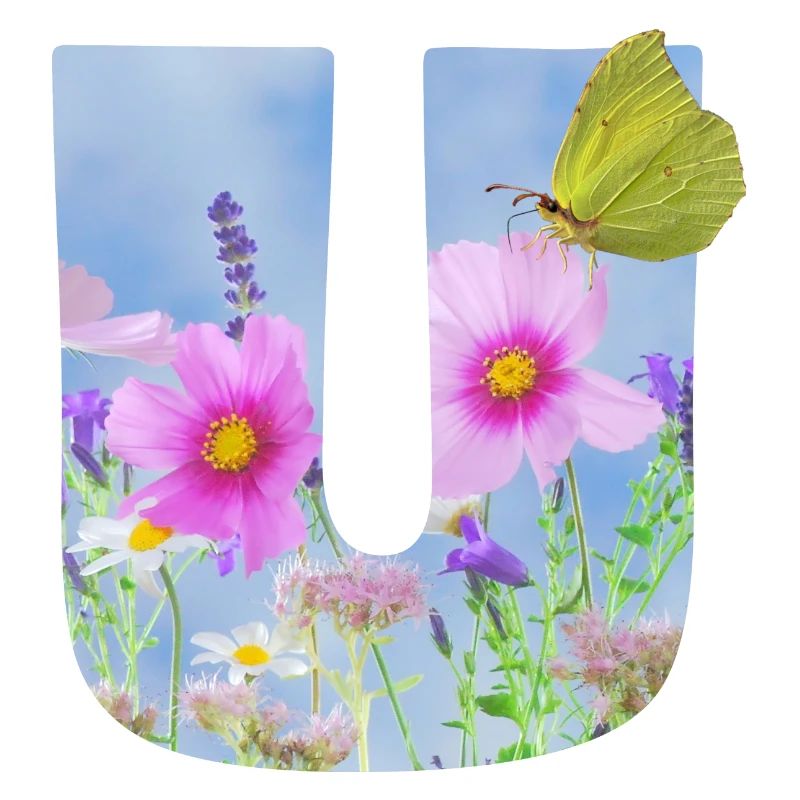 spring flowers butterfly u
