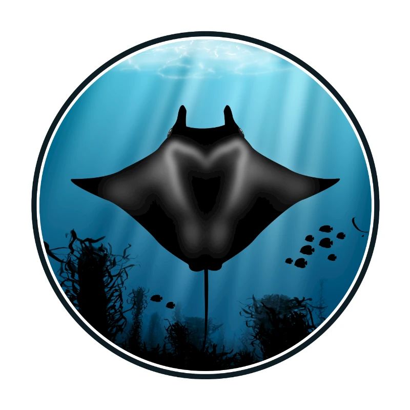 Manta rays and fish