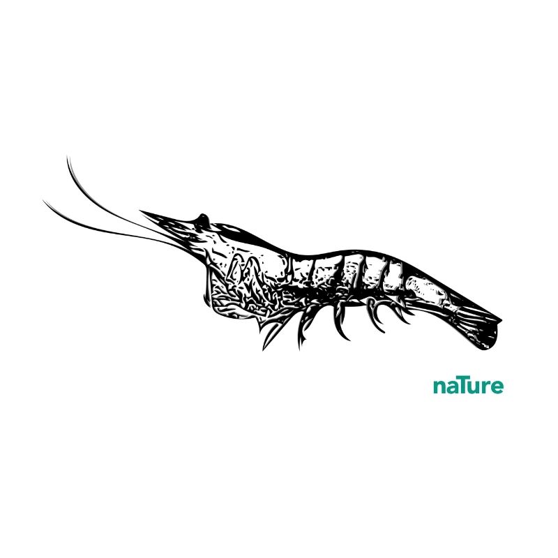 Crevettes