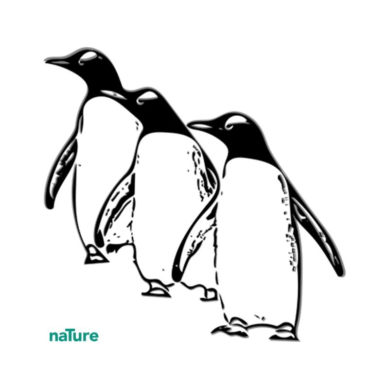 Pinguin