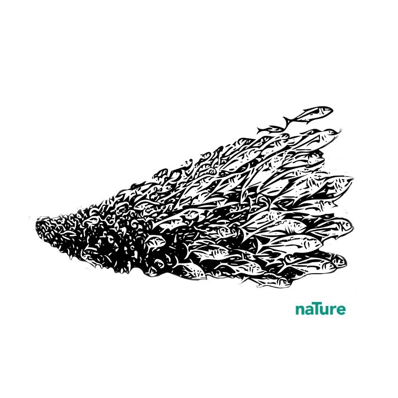 Des poissons