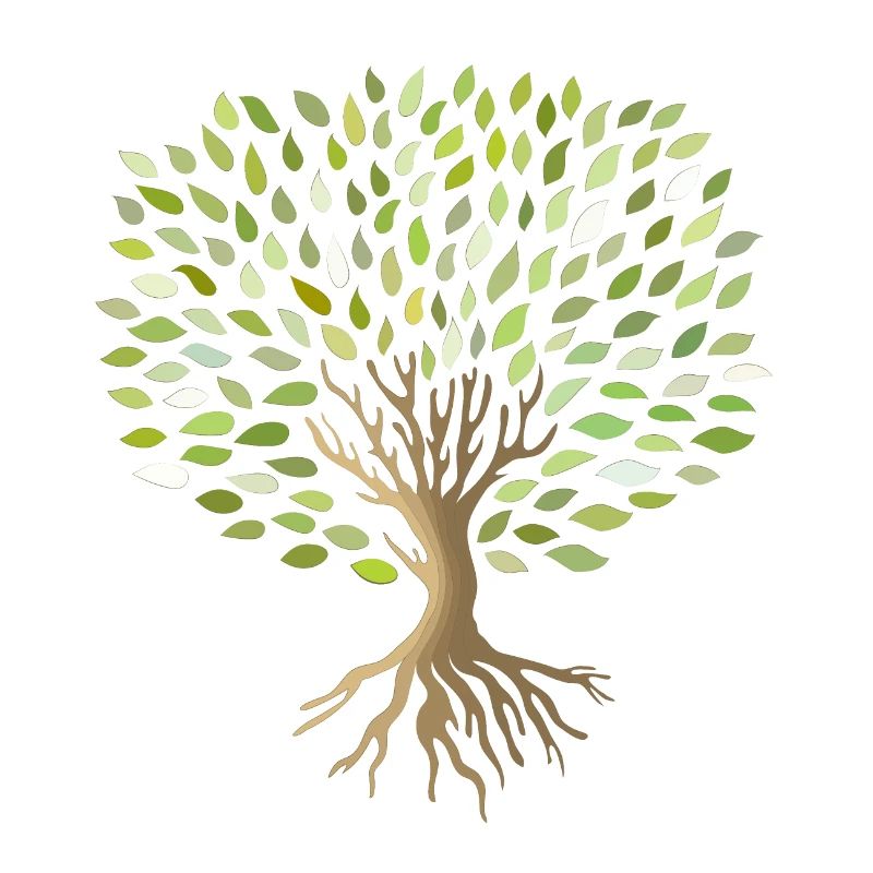 Baum