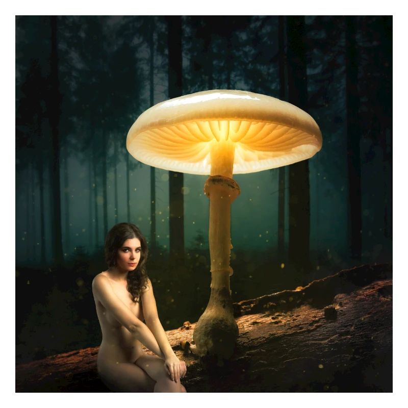 Champignon