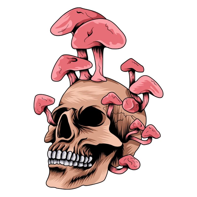 PILZ-SKULL