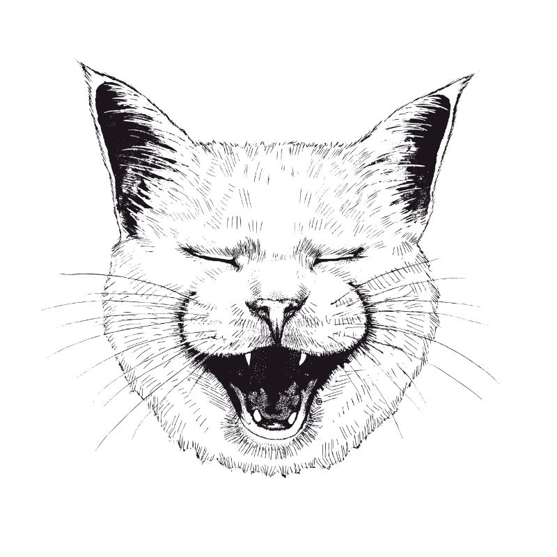 Lachende Katze