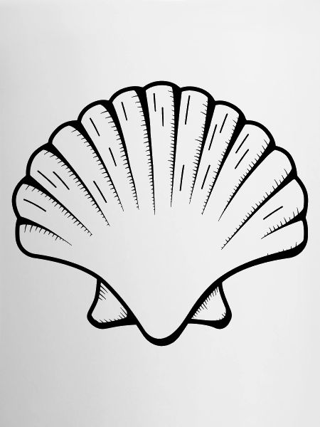 coquille