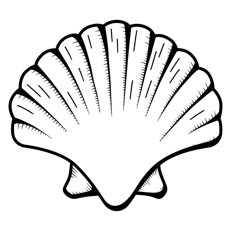 coquille