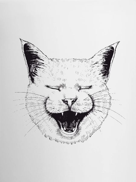 LOL Cat