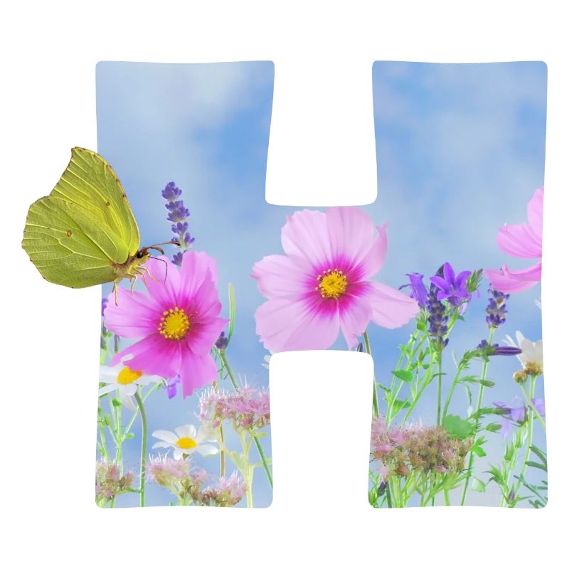 fleurs de printemps papillon h