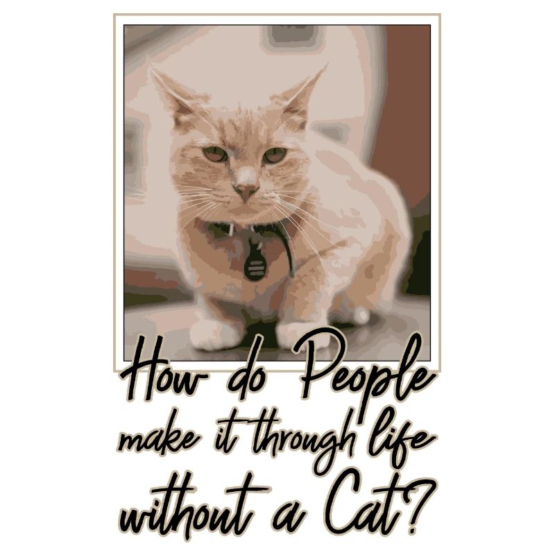 HOW DO PEOPLE MAKE IT THROUGH LIFE WITHOUT A CAT?