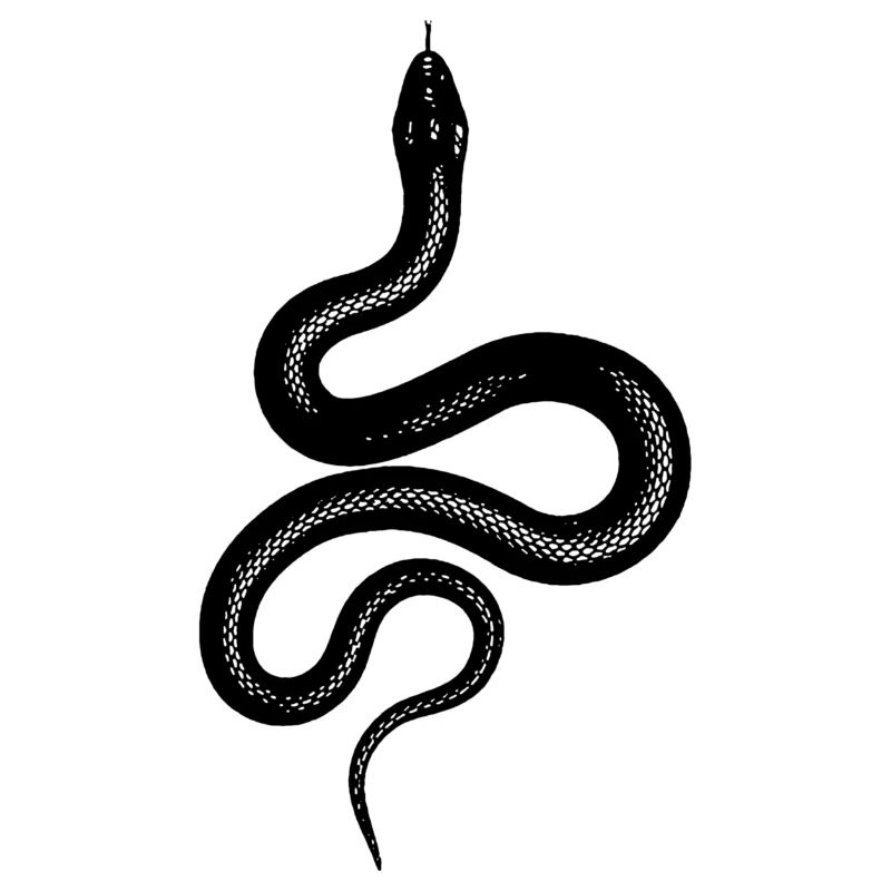 SERPENT