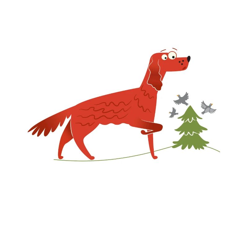 Irish Setter Geschenkidee