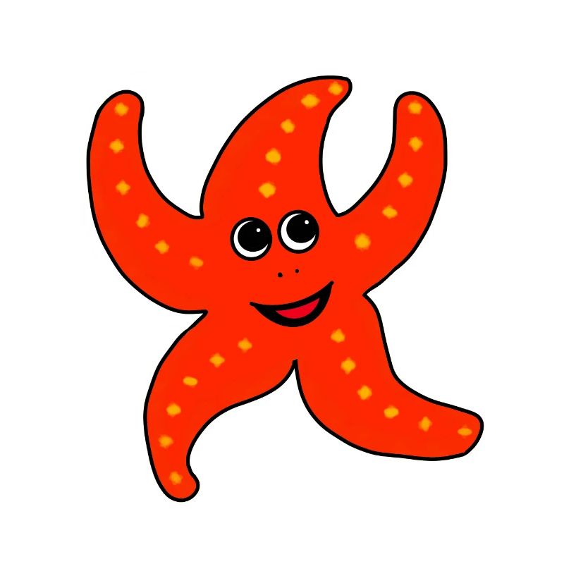 Happy Seestern
