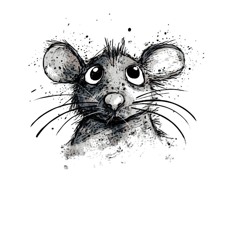 Cartoon Mouse