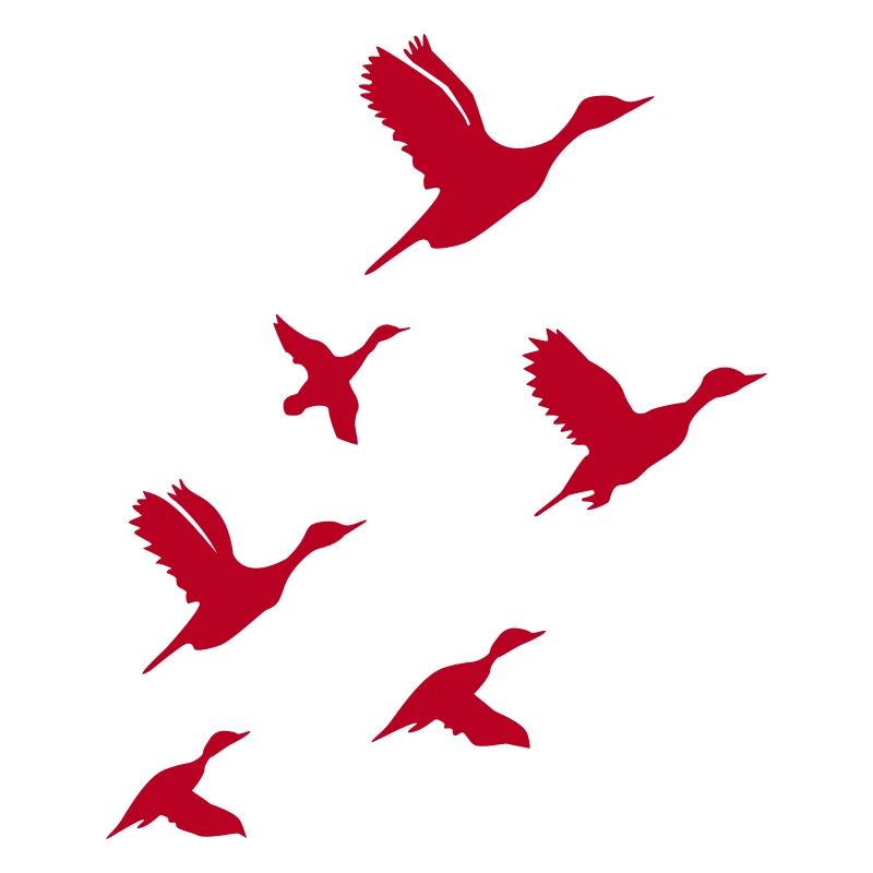 Flying Ducks