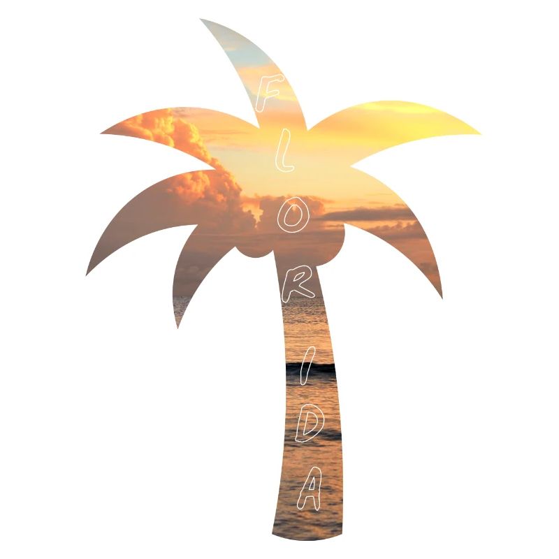 Palm tree - Florida