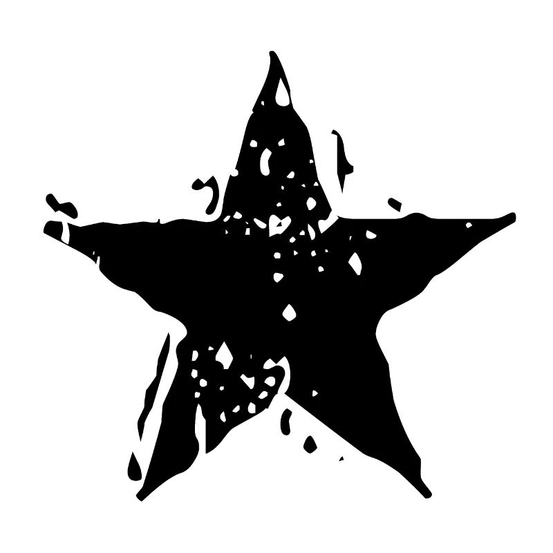 SCHWARZ STERN SCHWARZER STAR