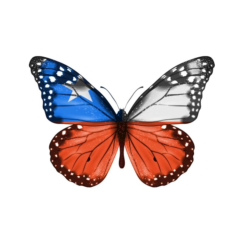 Papillon Drapeau Du Chili