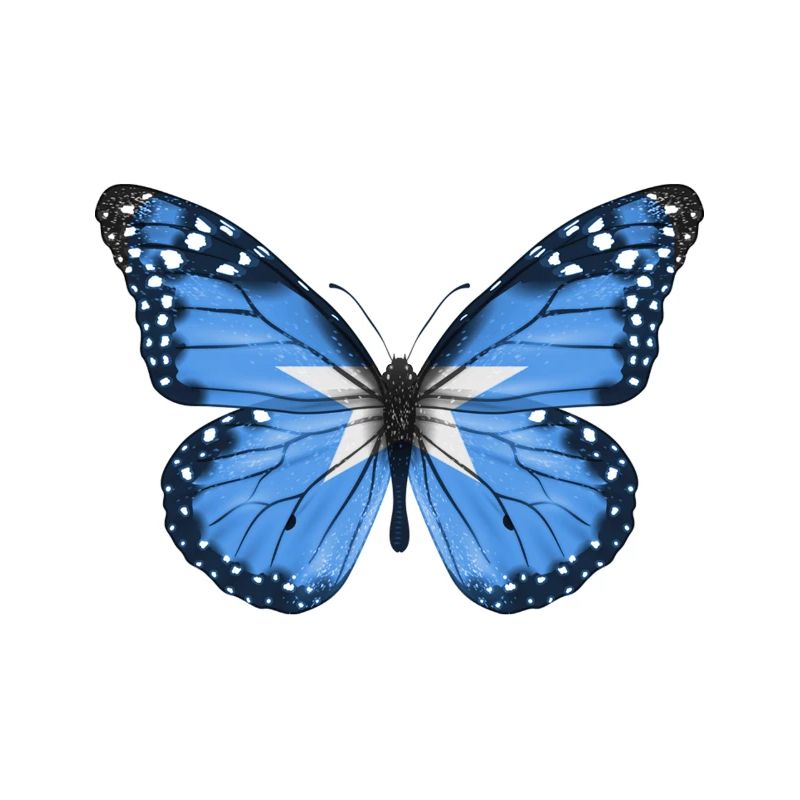 Papillon Drapeau De La Somalie