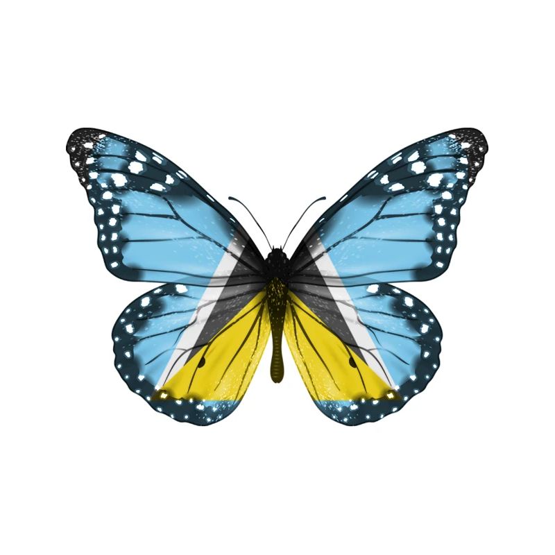 Papillon Drapeau De Ste Lucie