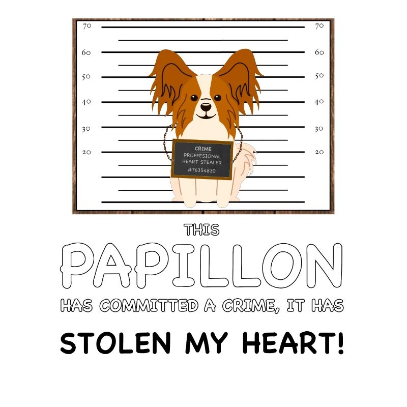 Papillon Mugshot