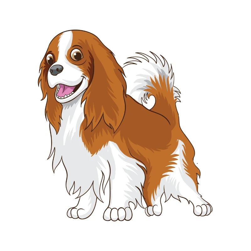 cavie Cavalier King Charles Spaniel