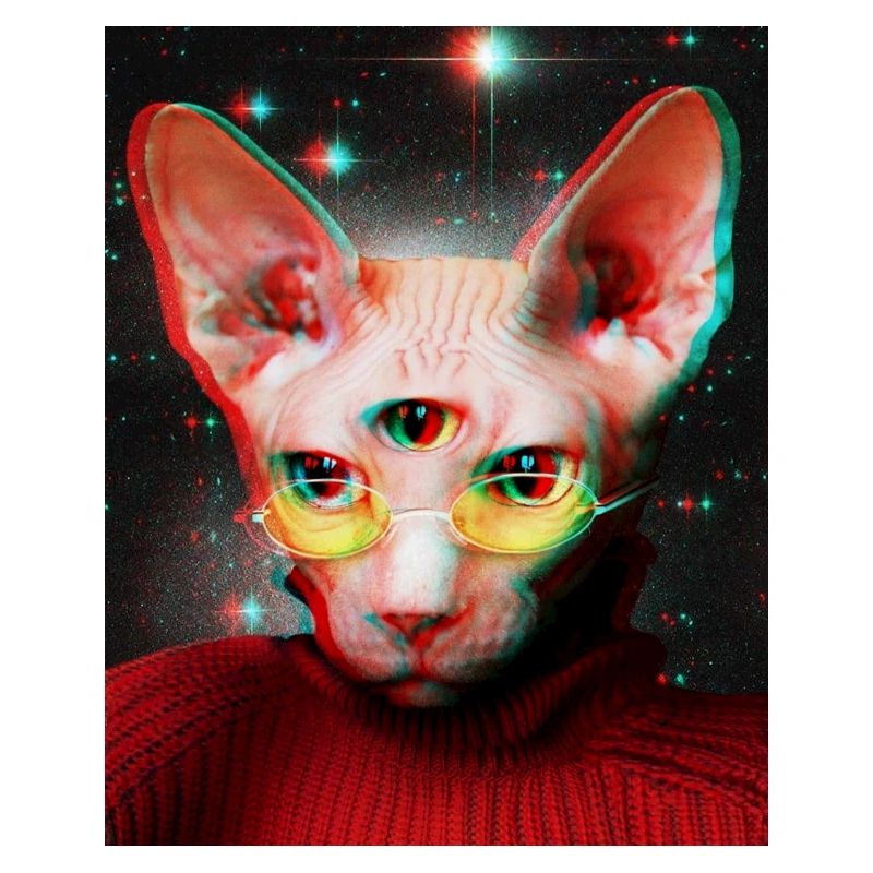 Chat