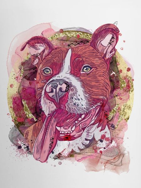 Pitbull Glitter and Gold