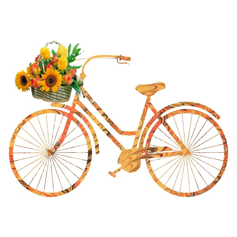 vélo e 118