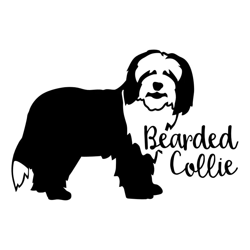 Bearded Collie