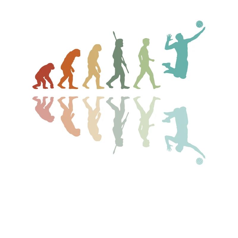 Volleyball Evolution