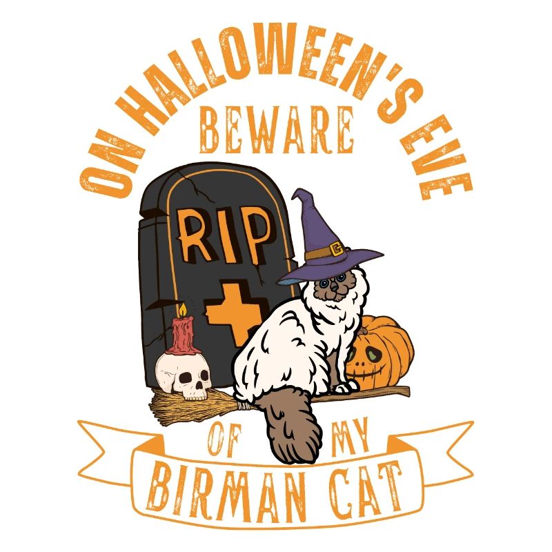 Chat d’Halloween birman mignon et effrayant